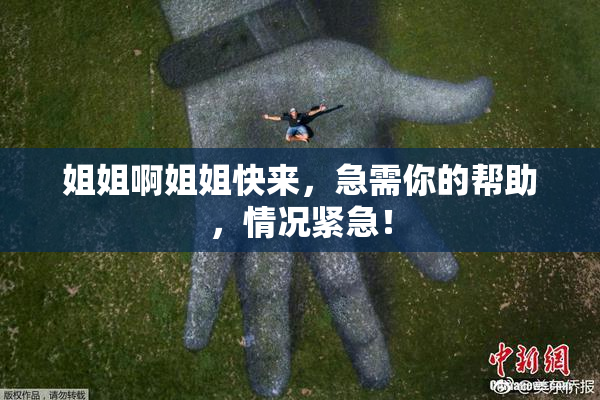 姐姐啊姐姐快来，急需你的帮助，情况紧急！