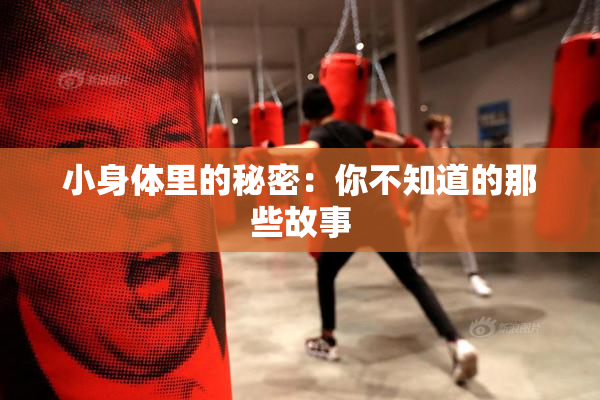 小身体里的秘密：你不知道的那些故事