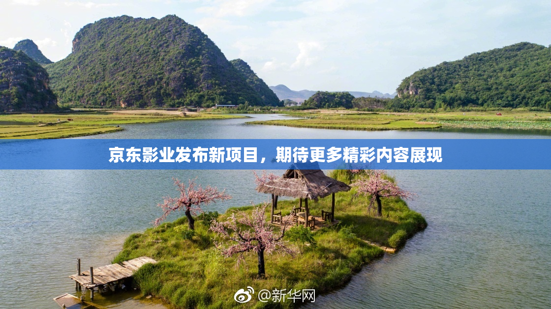 京东影业发布新项目，期待更多精彩内容展现