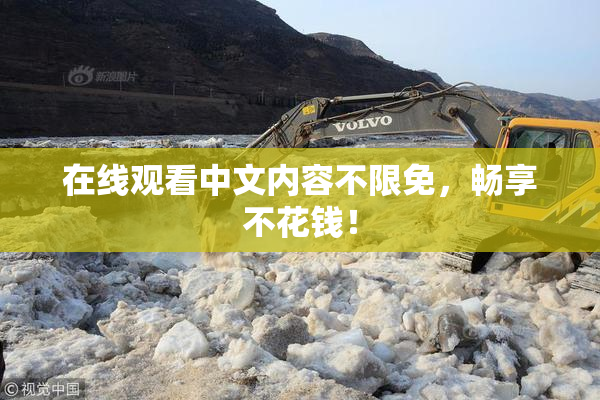 在线观看中文内容不限免，畅享不花钱！