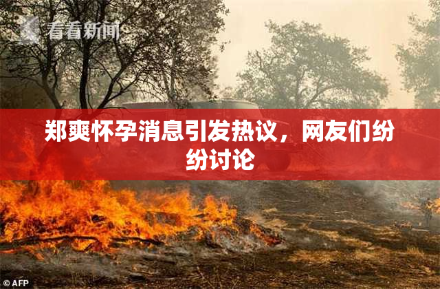 郑爽怀孕消息引发热议，网友们纷纷讨论