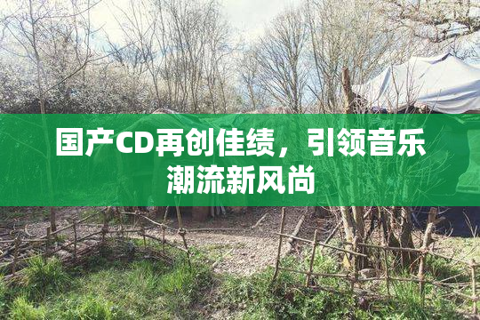国产CD再创佳绩，引领音乐潮流新风尚
