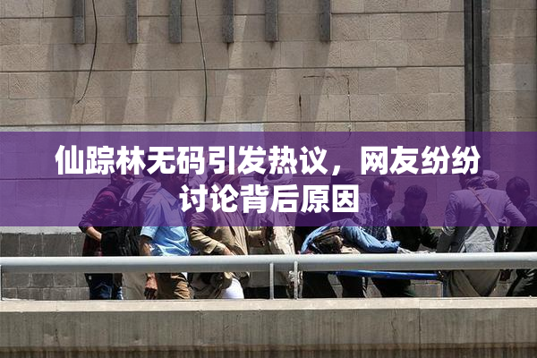 仙踪林无码引发热议，网友纷纷讨论背后原因