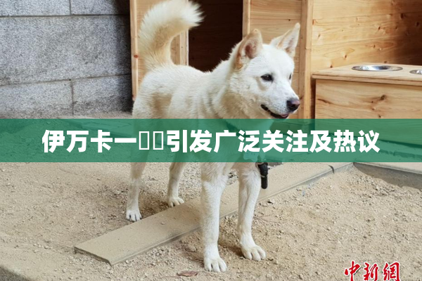 伊万卡一級黃引发广泛关注及热议