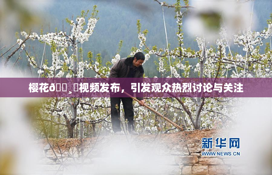 樱花🌸‌视频发布，引发观众热烈讨论与关注