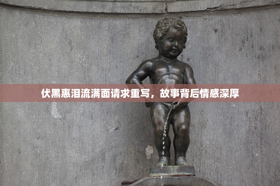 伏黑惠泪流满面请求重写，故事背后情感深厚