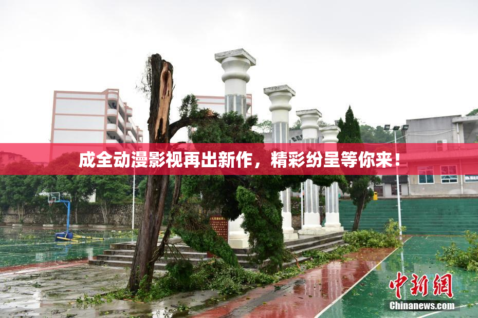 成全动漫影视再出新作，精彩纷呈等你来！