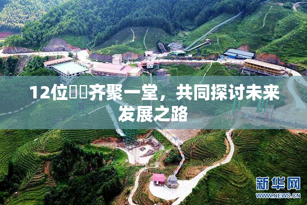 12位妺妺齐聚一堂，共同探讨未来发展之路