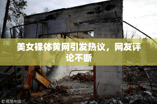 美女裸体黄网引发热议，网友评论不断