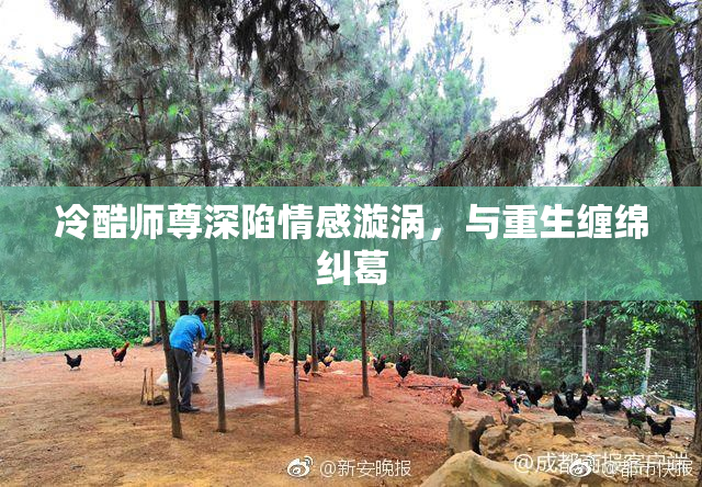 冷酷师尊深陷情感漩涡，与重生缠绵纠葛