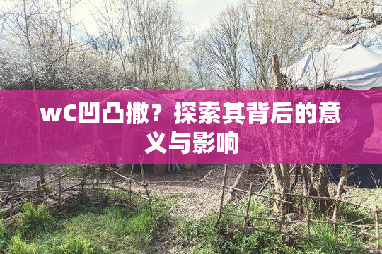 wC凹凸撒？探索其背后的意义与影响