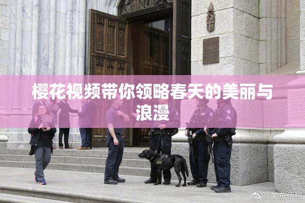 樱花视频带你领略春天的美丽与浪漫