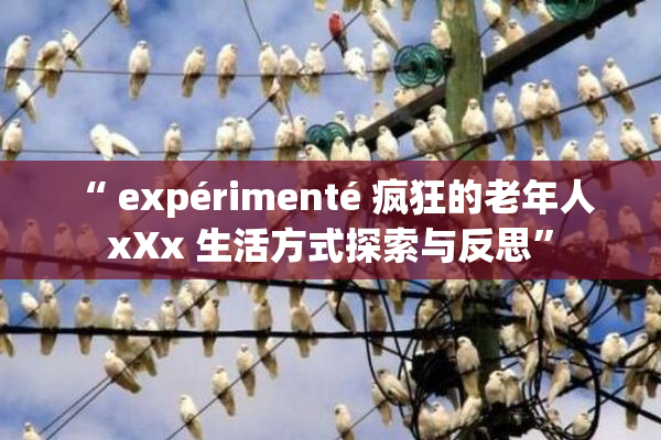 “ expérimenté 疯狂的老年人 xXx 生活方式探索与反思”