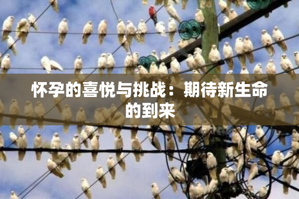 怀孕的喜悦与挑战：期待新生命的到来