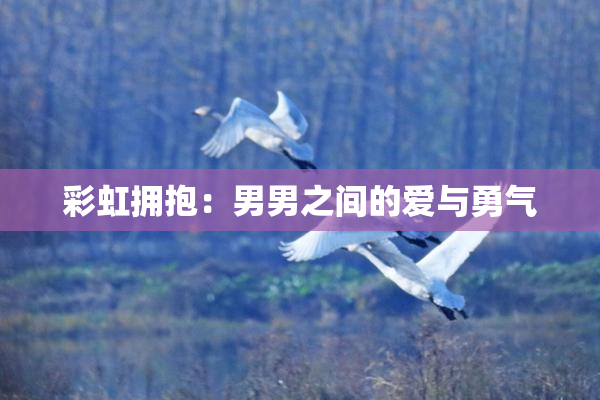 彩虹拥抱：男男之间的爱与勇气