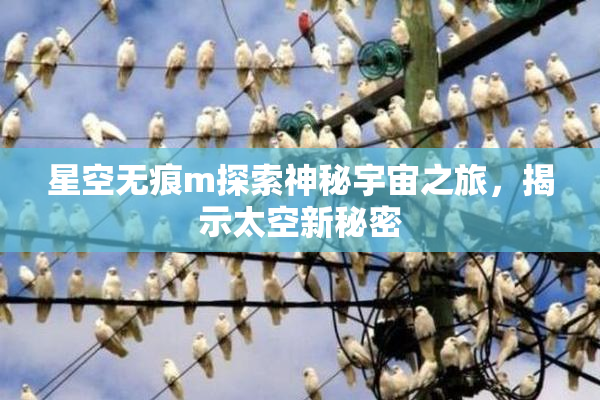 星空无痕m探索神秘宇宙之旅，揭示太空新秘密