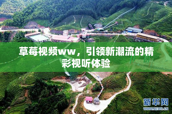 草莓视频ww，引领新潮流的精彩视听体验