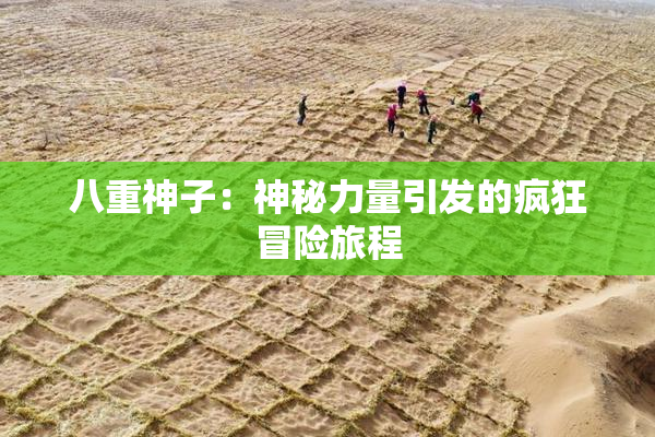 八重神子：神秘力量引发的疯狂冒险旅程
