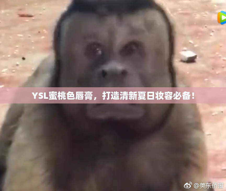 YSL蜜桃色唇膏，打造清新夏日妆容必备！