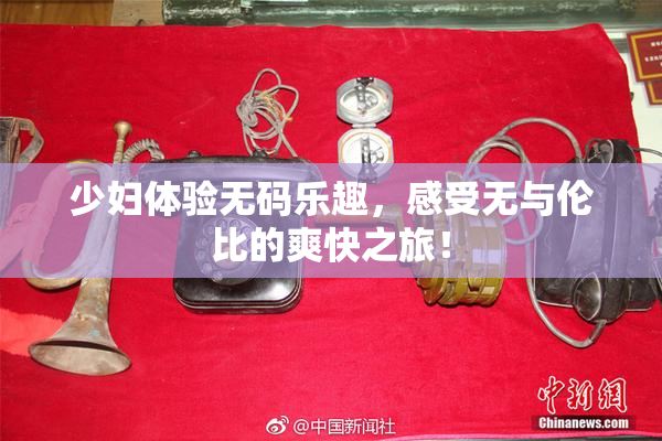 少妇体验无码乐趣，感受无与伦比的爽快之旅！