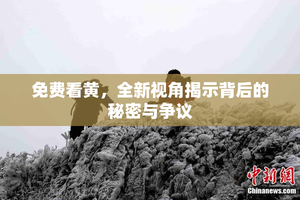 免费看黄，全新视角揭示背后的秘密与争议
