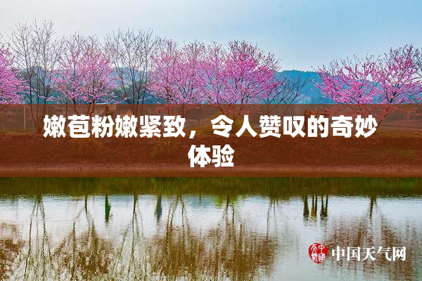 嫩苞粉嫩紧致，令人赞叹的奇妙体验