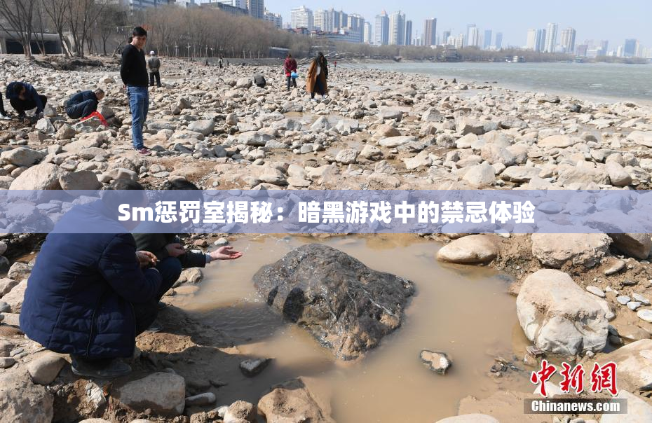 Sm惩罚室揭秘：暗黑游戏中的禁忌体验