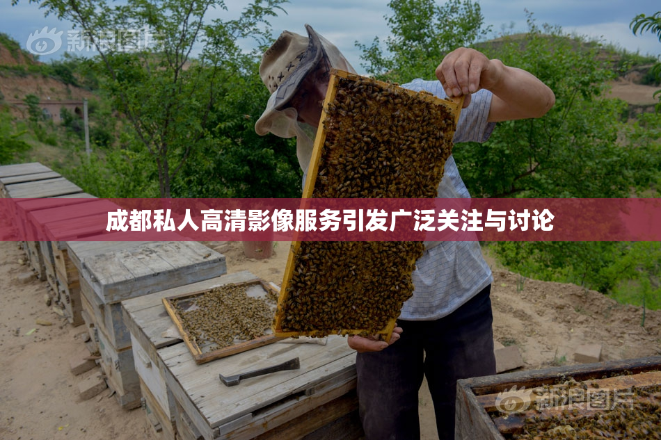 成都私人高清影像服务引发广泛关注与讨论