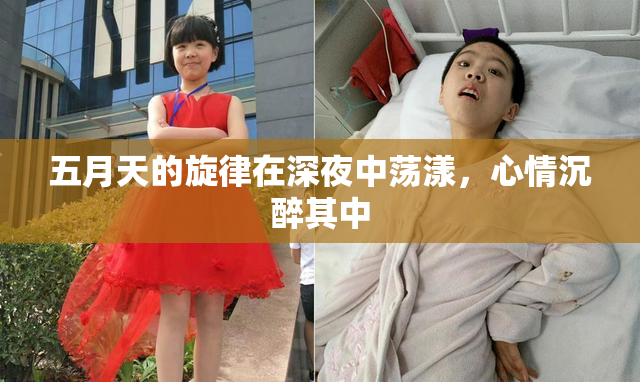 五月天的旋律在深夜中荡漾，心情沉醉其中