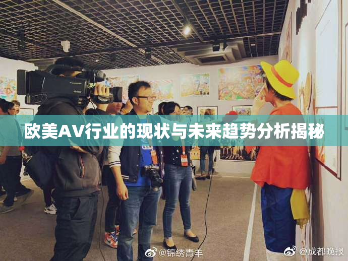 欧美AV行业的现状与未来趋势分析揭秘