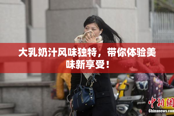 大乳奶汁风味独特，带你体验美味新享受！