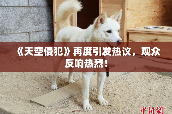 《天空侵犯》再度引发热议，观众反响热烈！