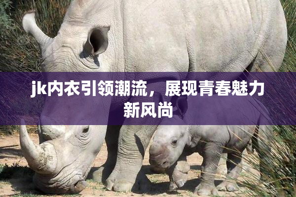 jk内衣引领潮流，展现青春魅力新风尚