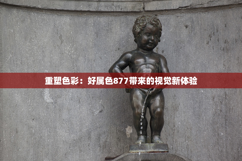 重塑色彩：好属色877带来的视觉新体验