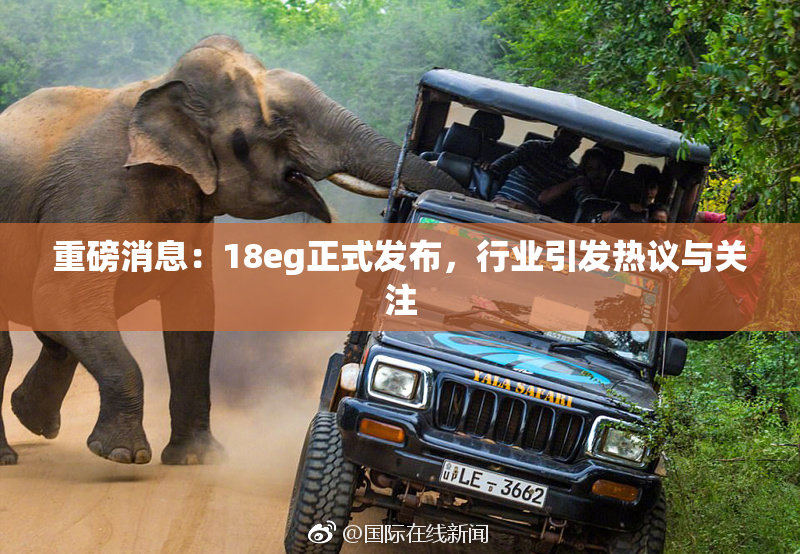重磅消息：18eg正式发布，行业引发热议与关注
