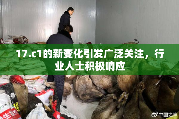 17.c1的新变化引发广泛关注，行业人士积极响应