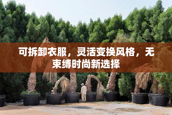 可拆卸衣服，灵活变换风格，无束缚时尚新选择