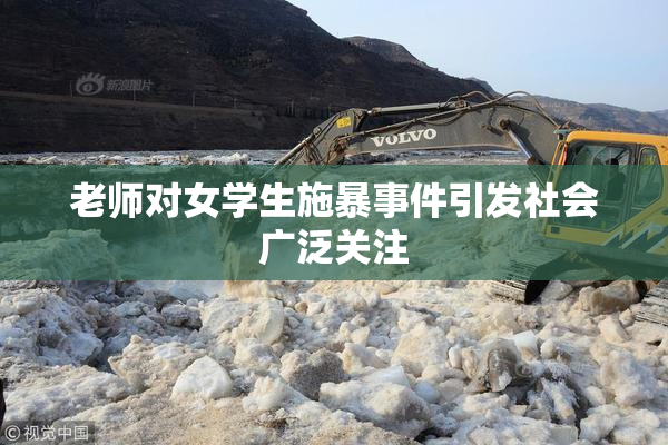 老师对女学生施暴事件引发社会广泛关注