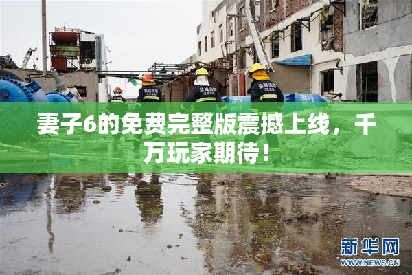 妻子6的免费完整版震撼上线，千万玩家期待！