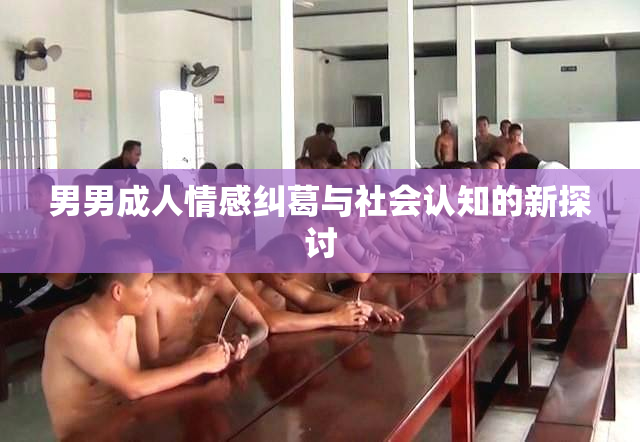 男男成人情感纠葛与社会认知的新探讨