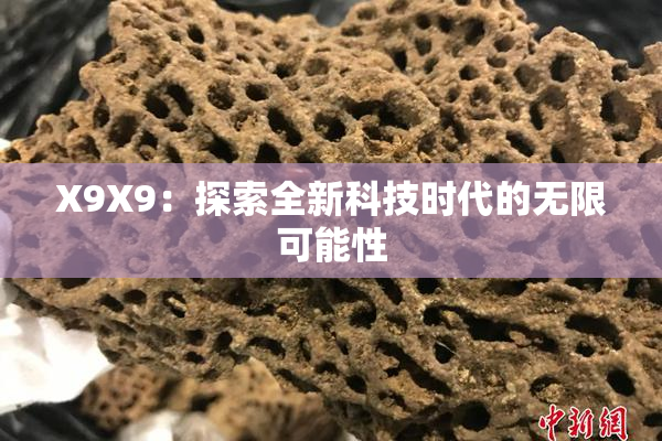 X9X9：探索全新科技时代的无限可能性
