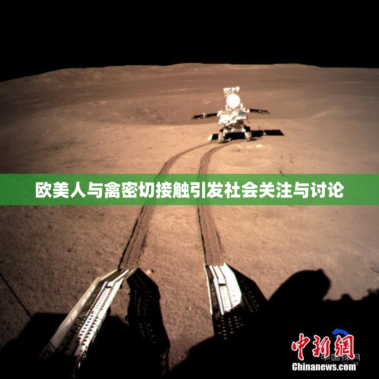 欧美人与禽密切接触引发社会关注与讨论