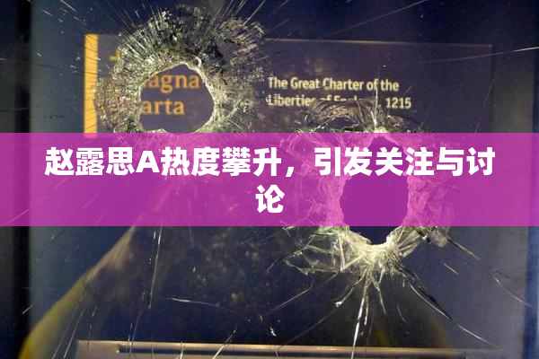 赵露思A热度攀升，引发关注与讨论