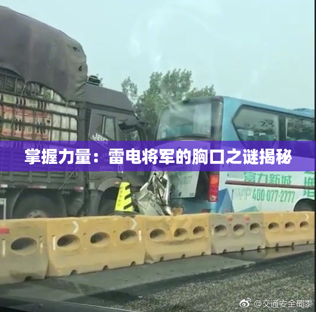 掌握力量：雷电将军的胸口之谜揭秘