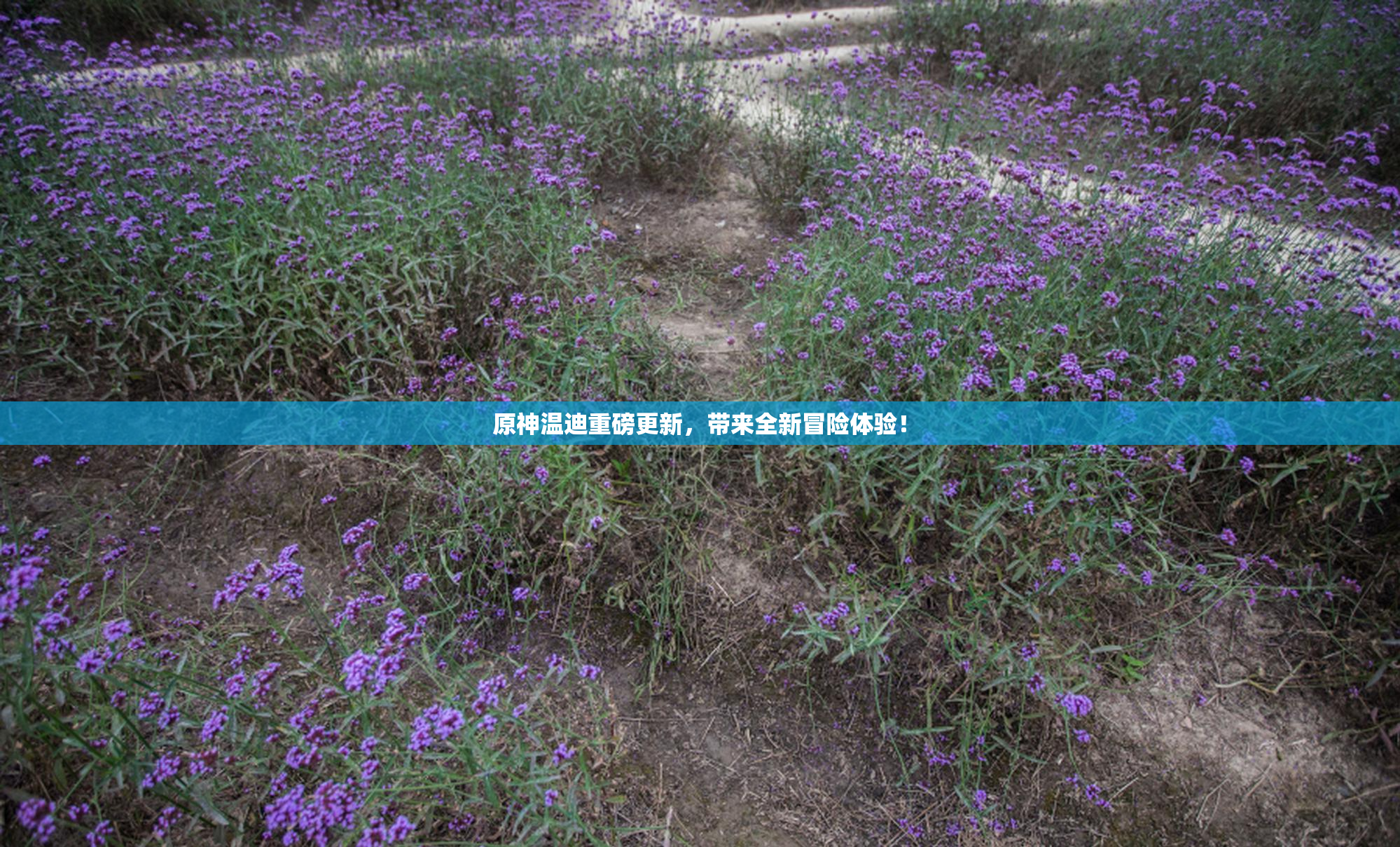 原神温迪重磅更新，带来全新冒险体验！