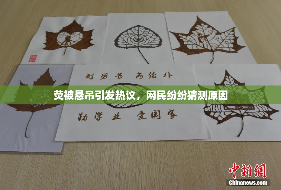 荧被悬吊引发热议，网民纷纷猜测原因