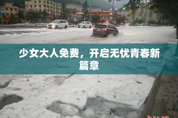 少女大人免费，开启无忧青春新篇章