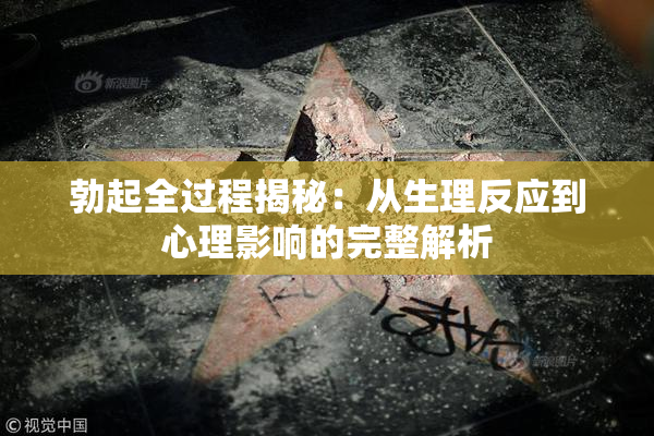 勃起全过程揭秘：从生理反应到心理影响的完整解析