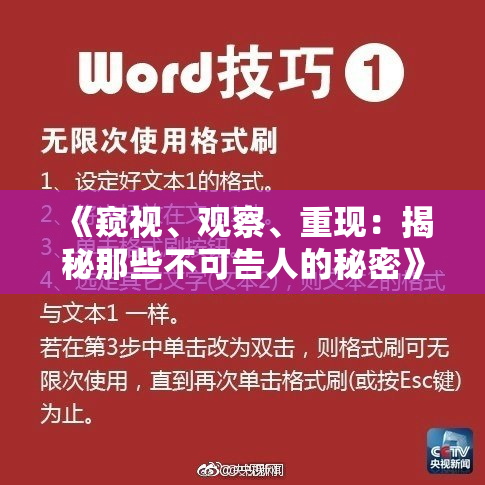 《窥视、观察、重现：揭秘那些不可告人的秘密》