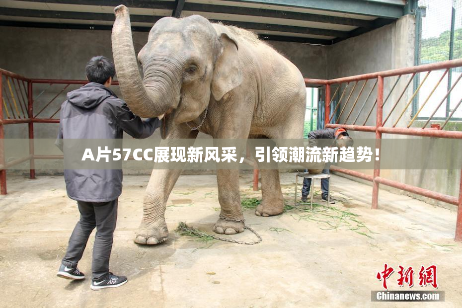 A片57CC展现新风采，引领潮流新趋势！